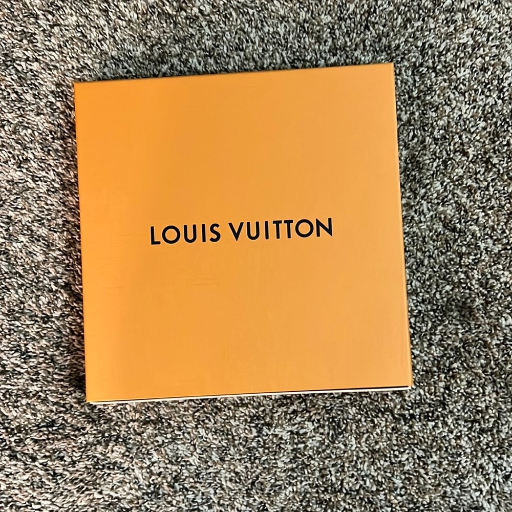 Louis Vuitton gray hat - never worn